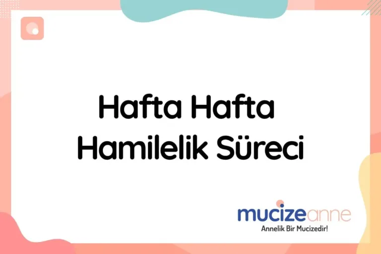 hafta hafta hamilelik süreci