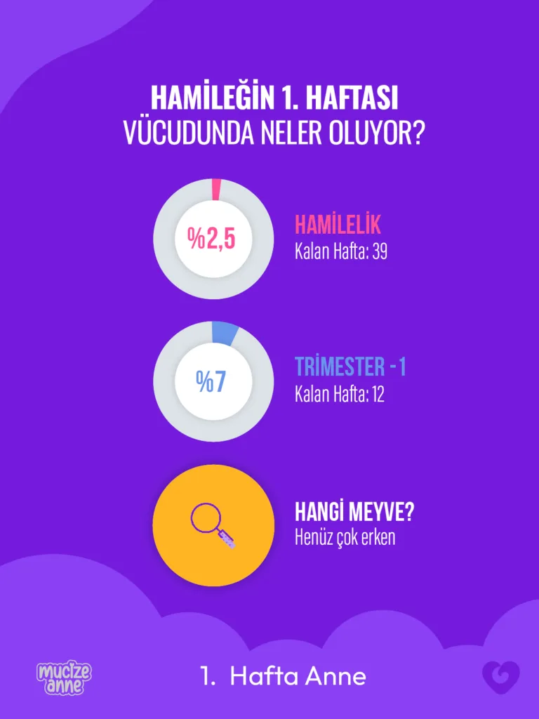 Hamileliğin 1. Haftası 🌼 Görünmez Başlangıç
