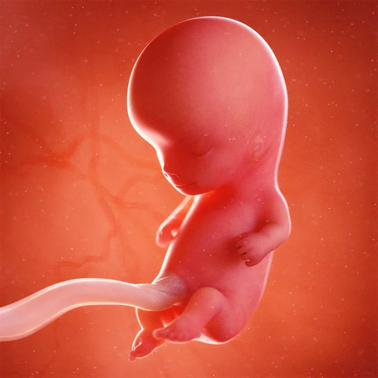 Semana 10: Agora pareço um bebê! 👶