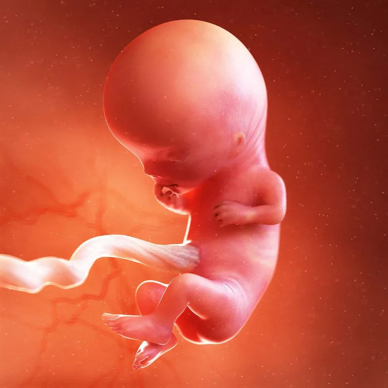 Semana 11: Pequenos movimentos estão começando, mamãe! 😊