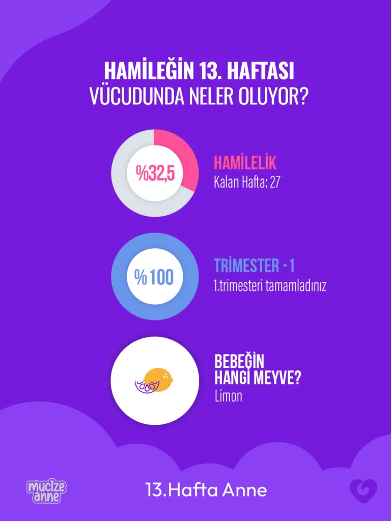 Hamileliğin 13. Haftası
