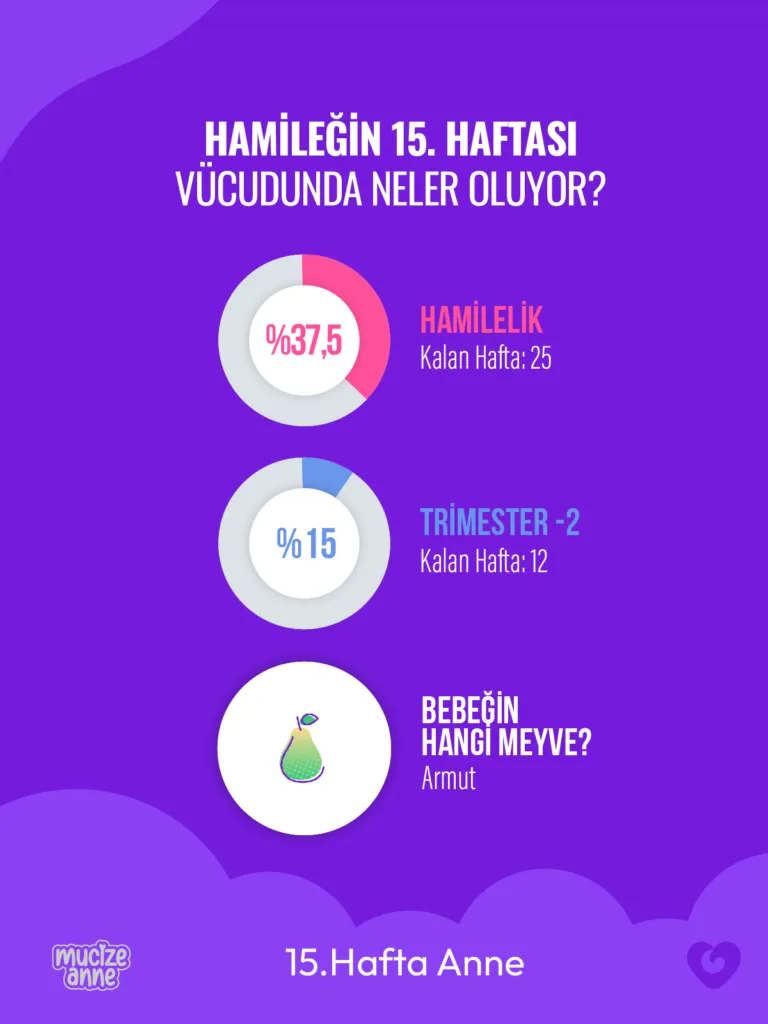 Hamileliğin 15. Haftası