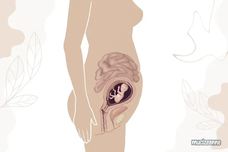 17e semaine de grossesse