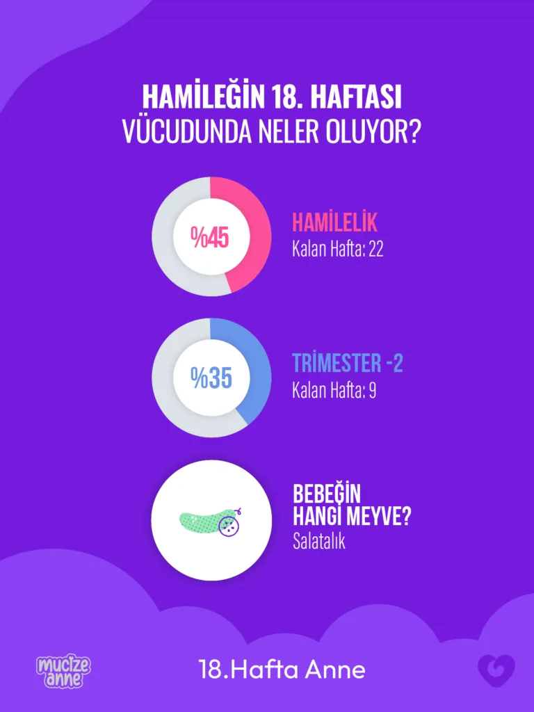 Hamileliğin 18. Haftası