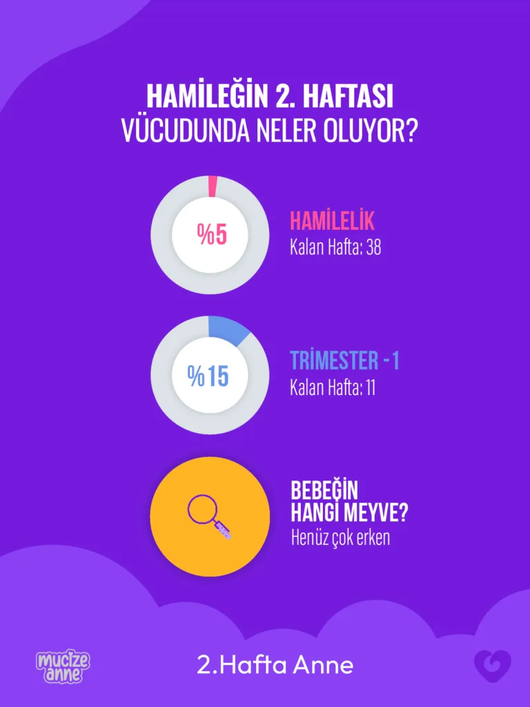 Hamileliğin 2. Haftası: 🌻 Hazırlık Süreci Devam Ediyor!