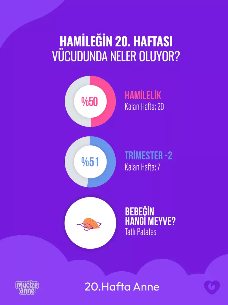 Hamileliğin 20. Haftası