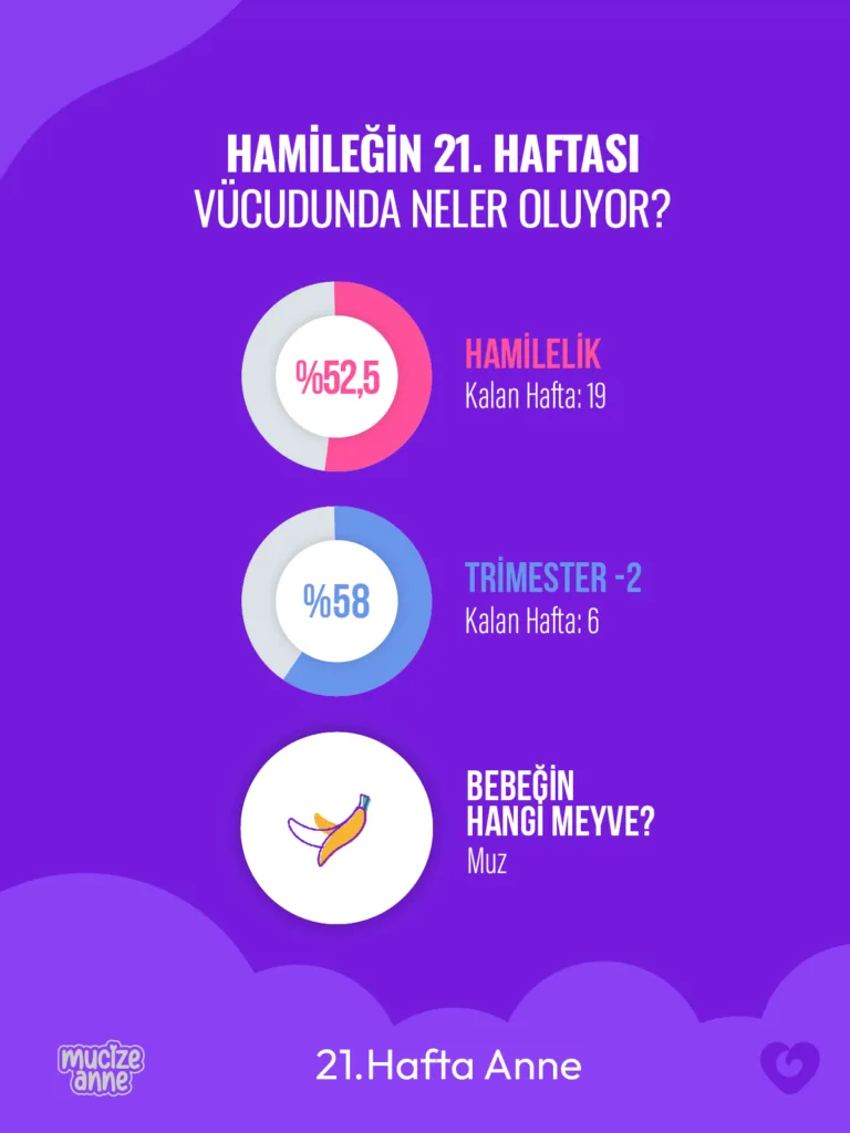 Hamileliğin 21. Haftası