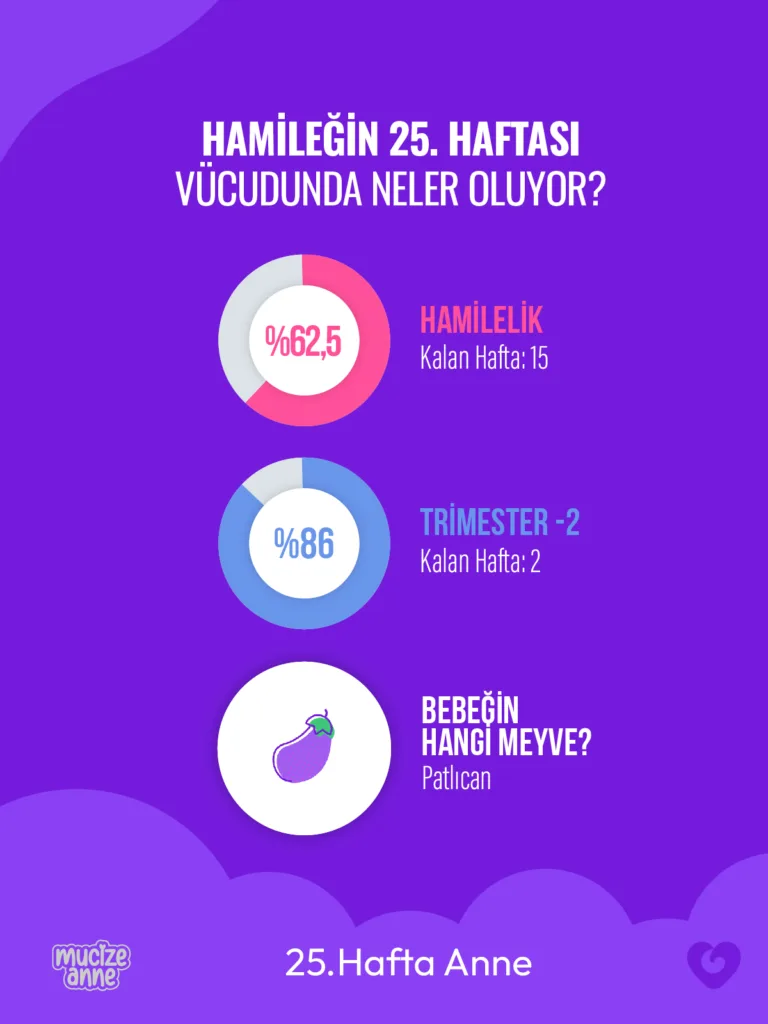 Gebeliğin 25. Haftası