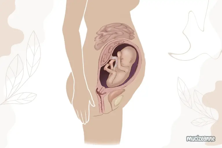 26e semaine de grossesse