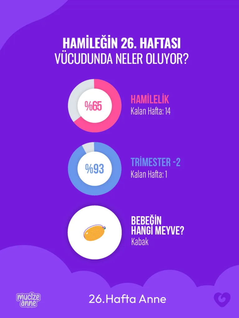 Gebeliğin 26. Haftası