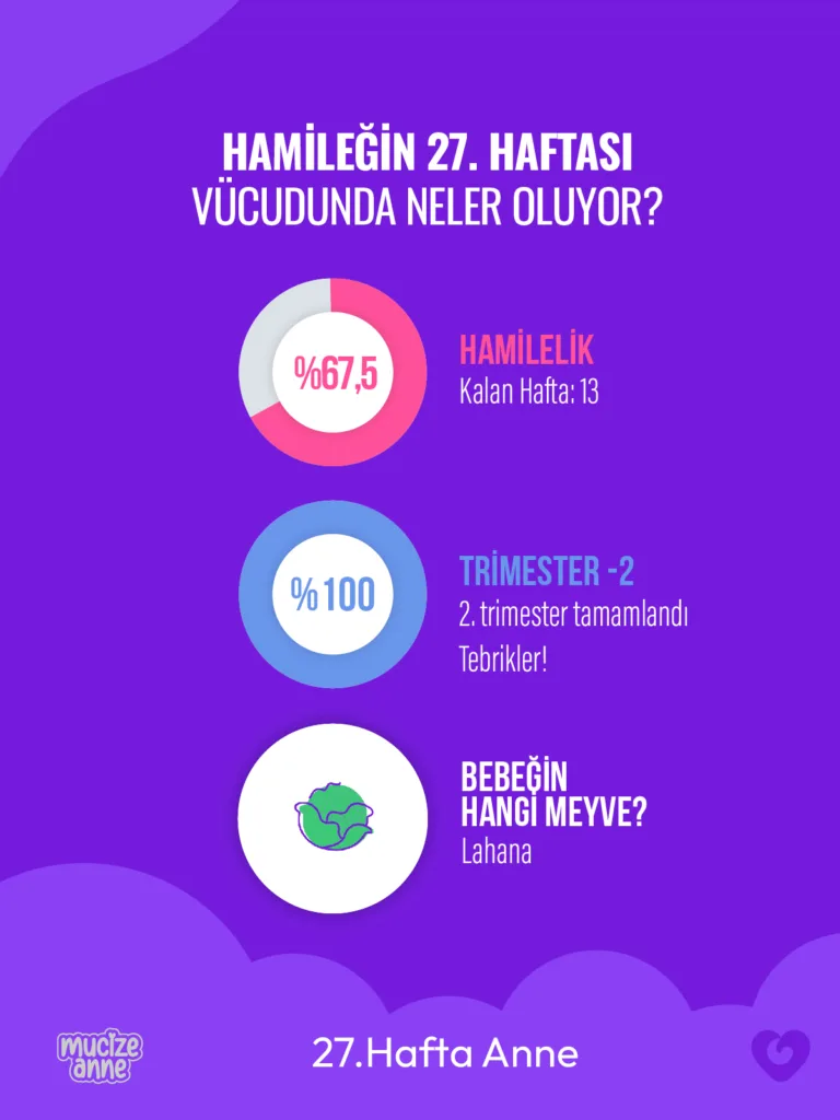 Gebeliğin 27. Haftası