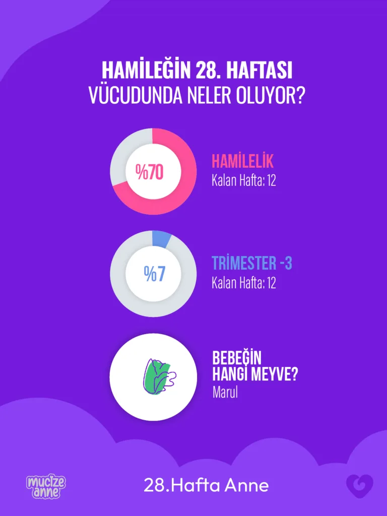 Gebeliğin 28. Haftası