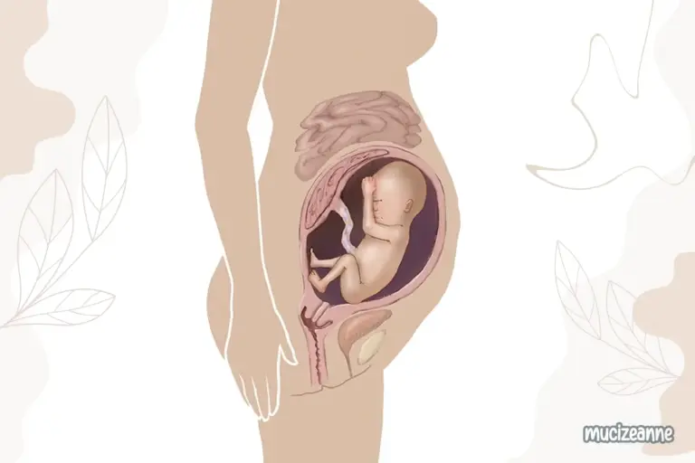 29e semaine de grossesse
