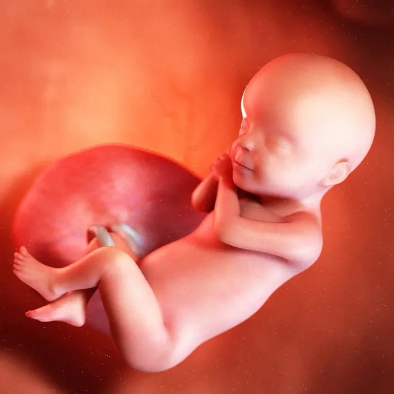 Semana 30: Pequenos músculos estão ficando mais fortes e os sentidos estão se aguçando! 💪 🌟