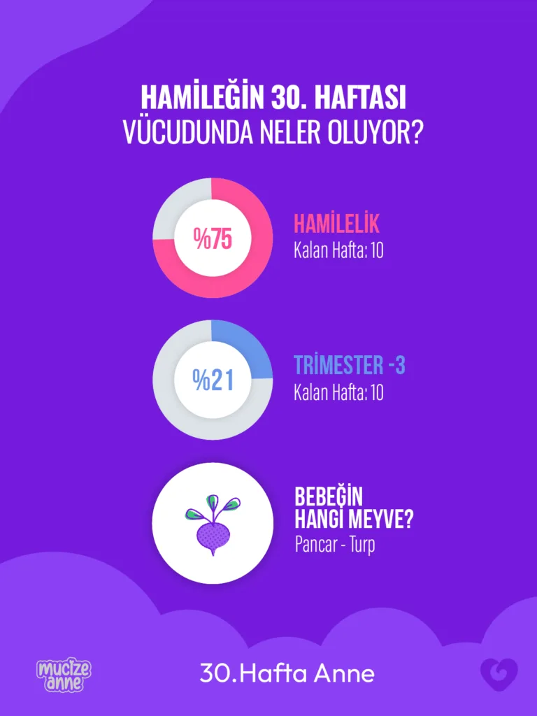 Gebeliğin 30. Haftası