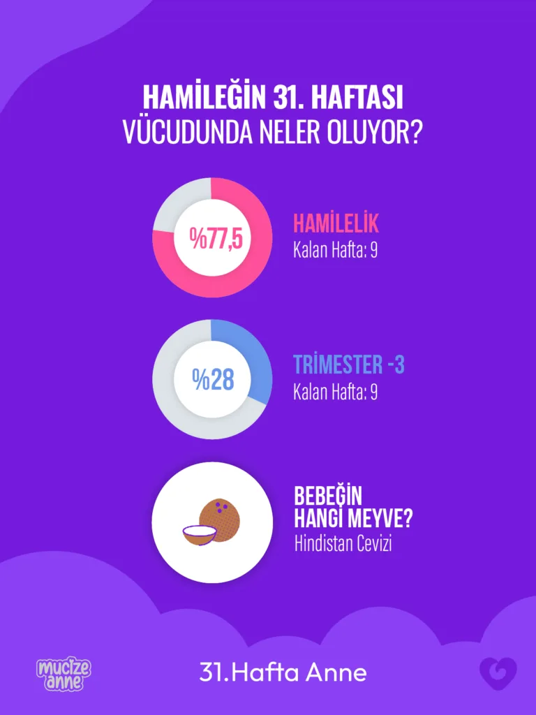 Gebeliğin 31. Haftası