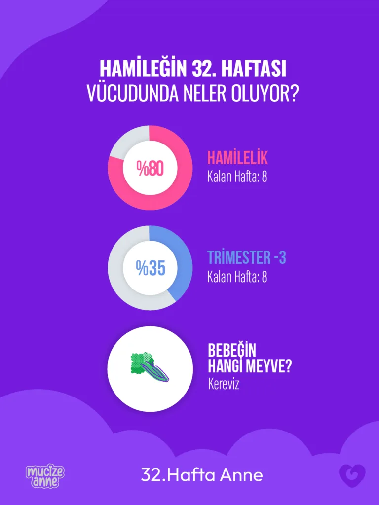 Gebeliğin 32. Haftası