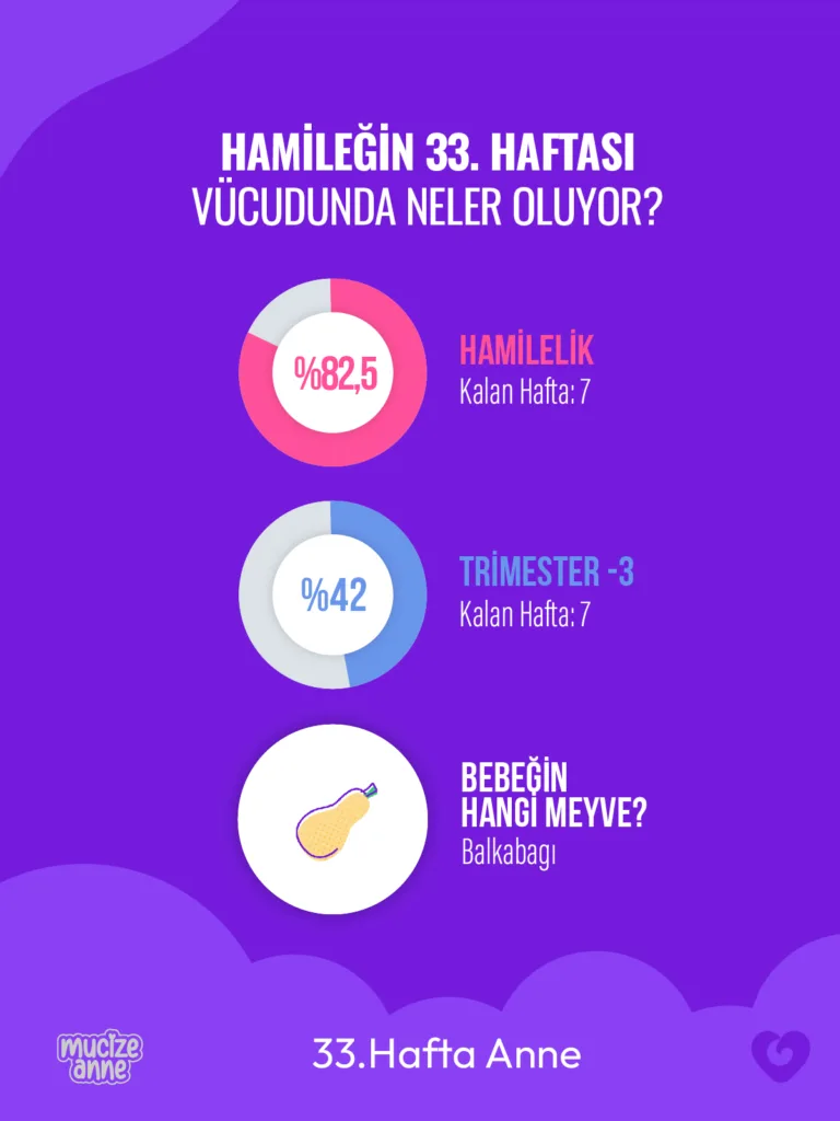 Gebeliğin 33. Haftası