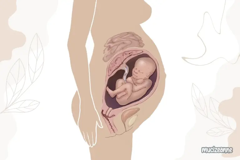 35e semaine de grossesse