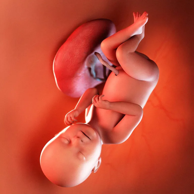 Semana 38: Voltarei a qualquer momento, mamãe! 🚀 👶