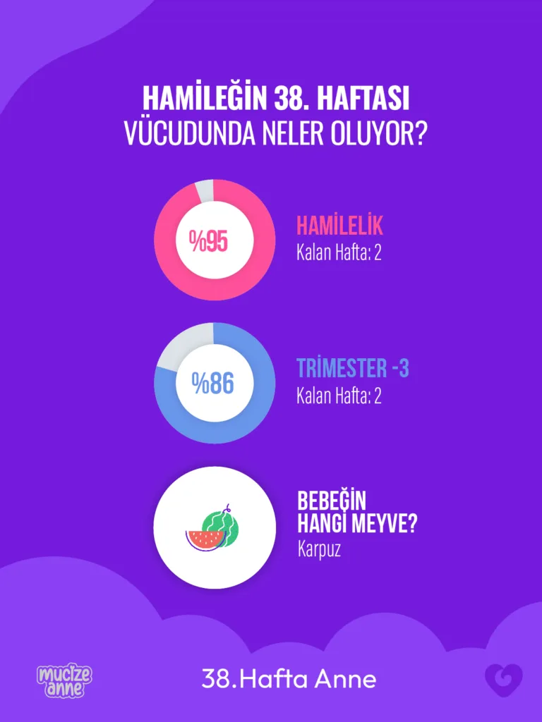 Gebeliğin 38. Haftası
