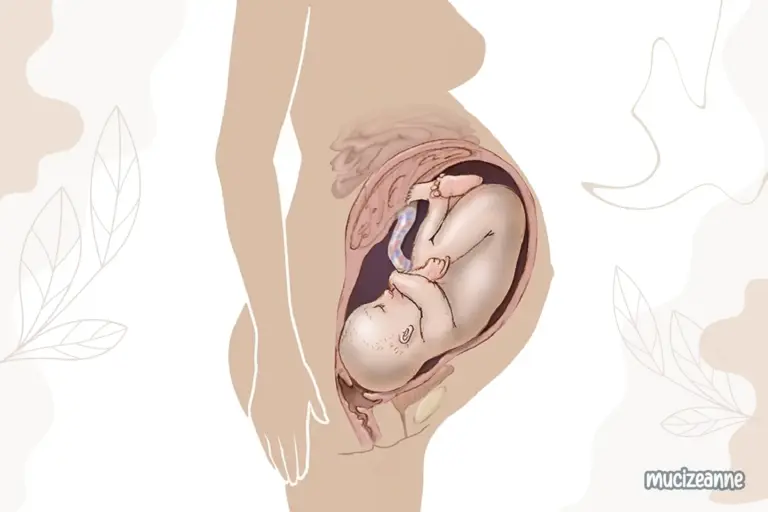 39e semaine de grossesse