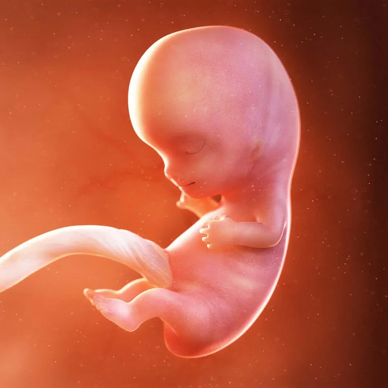 Semana 9: Agora pareço um bebê! 👶