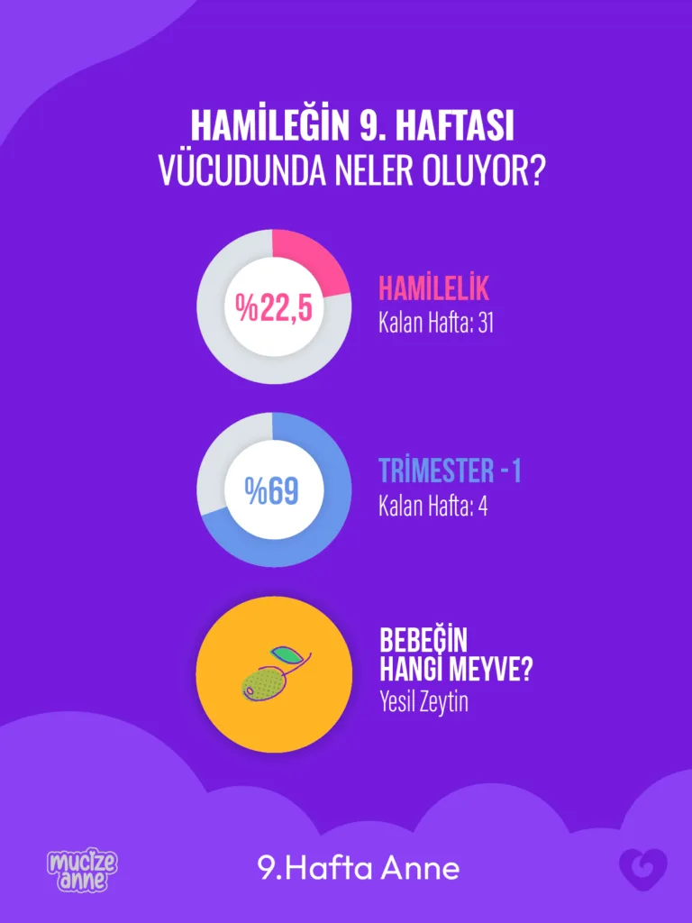Hamileliğin 9. Haftası