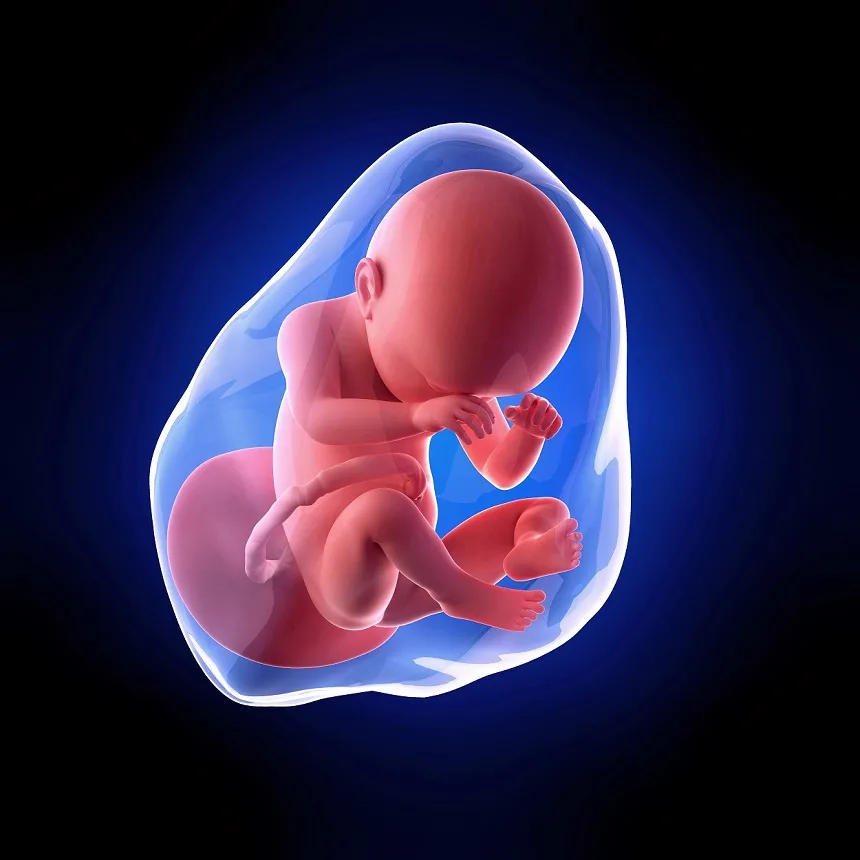 Decrease in Amniotic Fluid