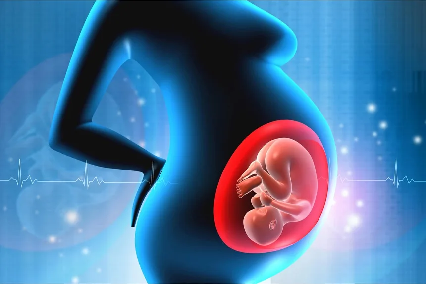 Decrease in Amniotic Fluid