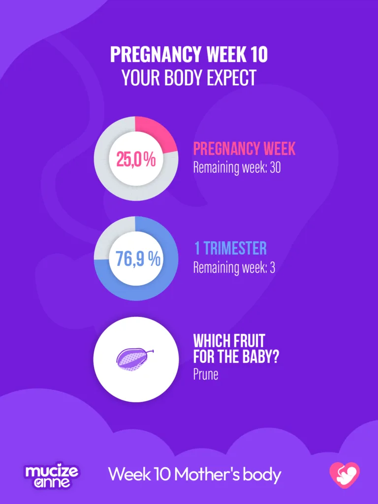 10th week of pregnancy