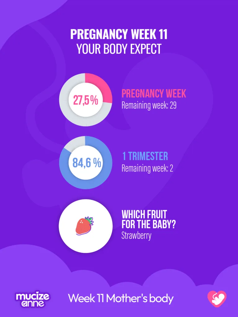 11th week of pregnancy
