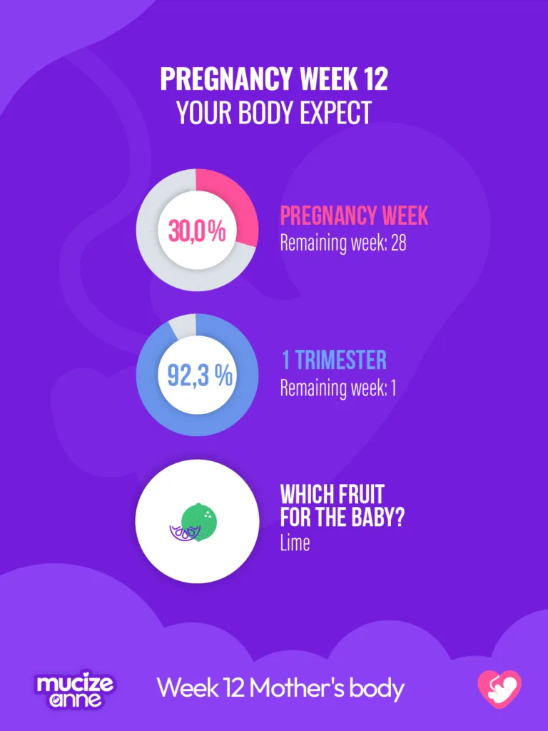 12th week of pregnancy