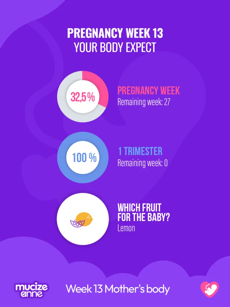 13th week of pregnancy