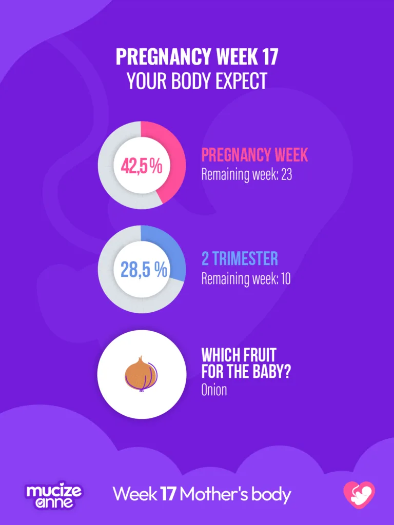17th week of pregnancy