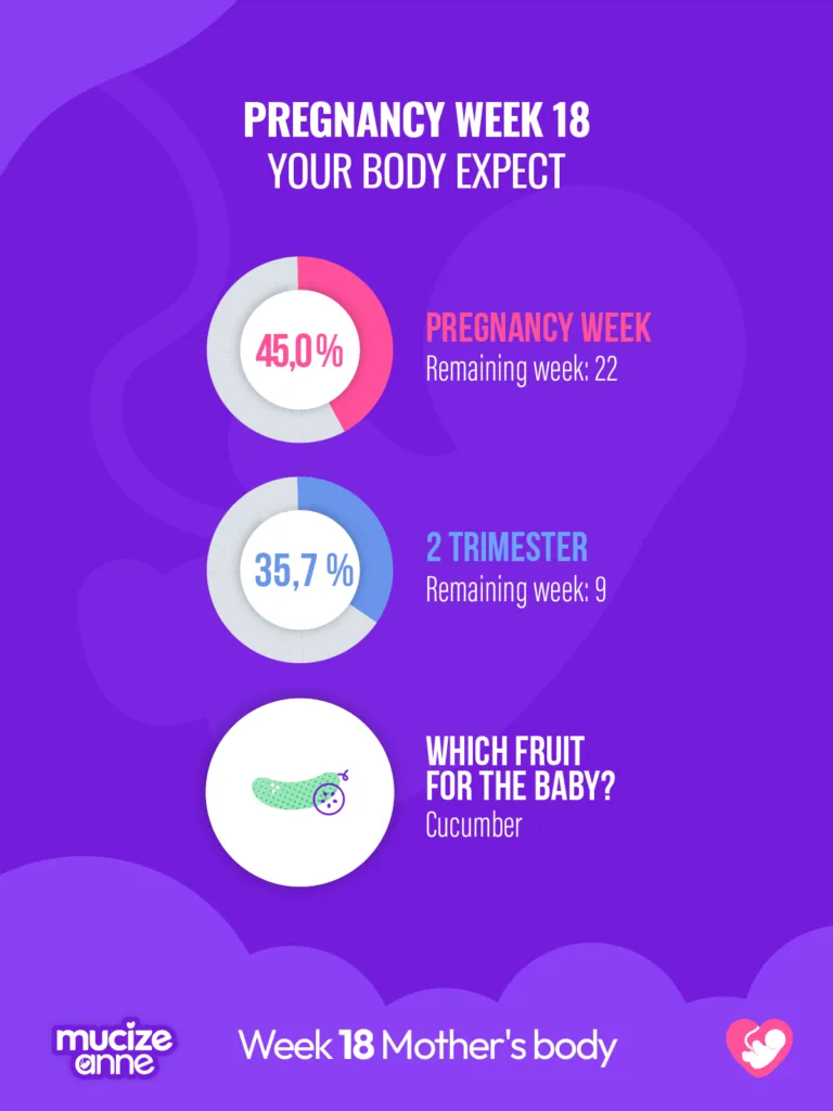18th week of pregnancy