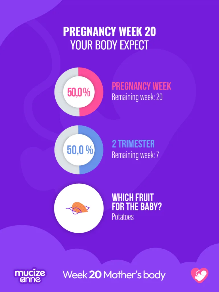 20th week of pregnancy