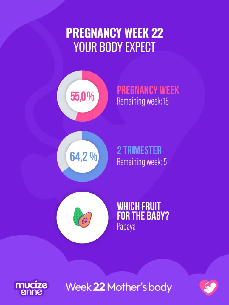 22nd week of pregnancy