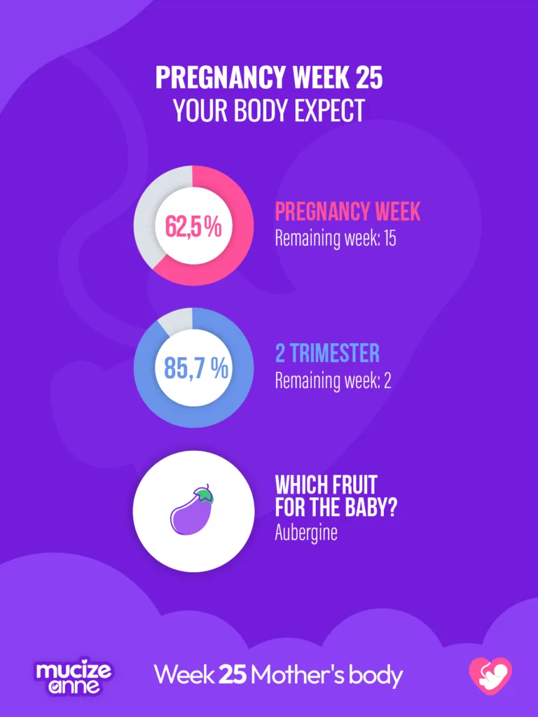 25th week of pregnancy