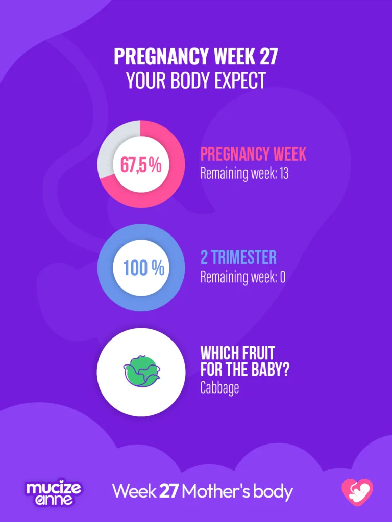 27th week of pregnancy