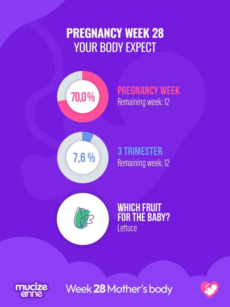 28th week of pregnancy