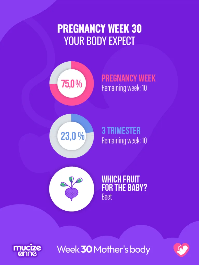 30th week of pregnancy