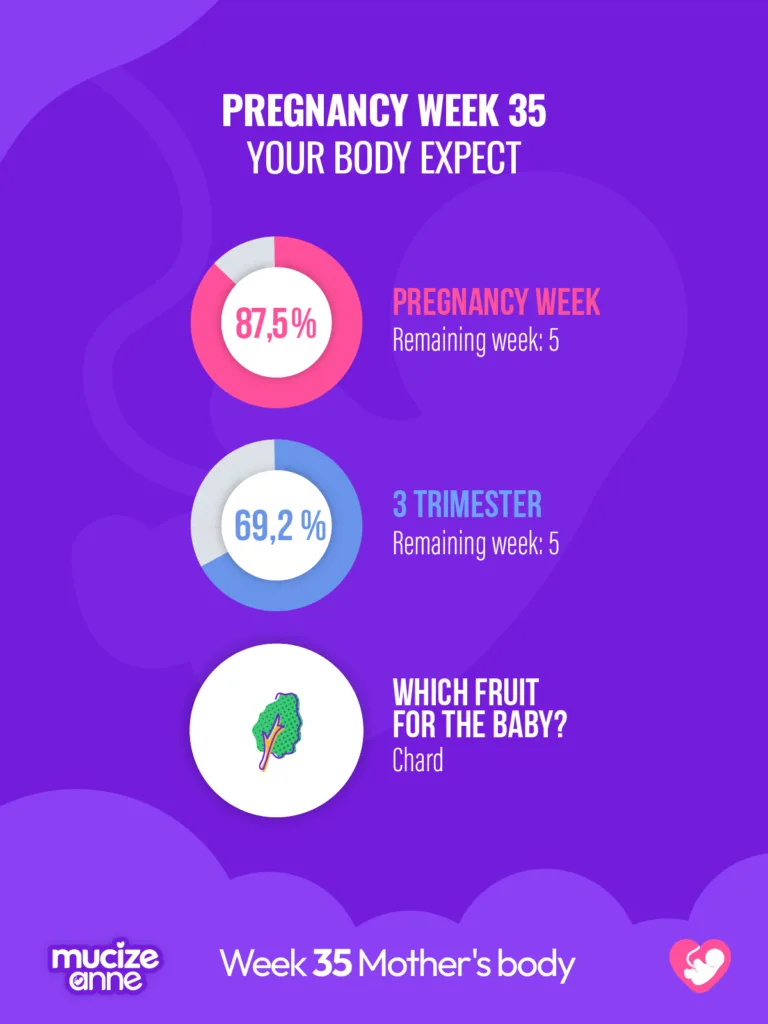35th week of pregnancy