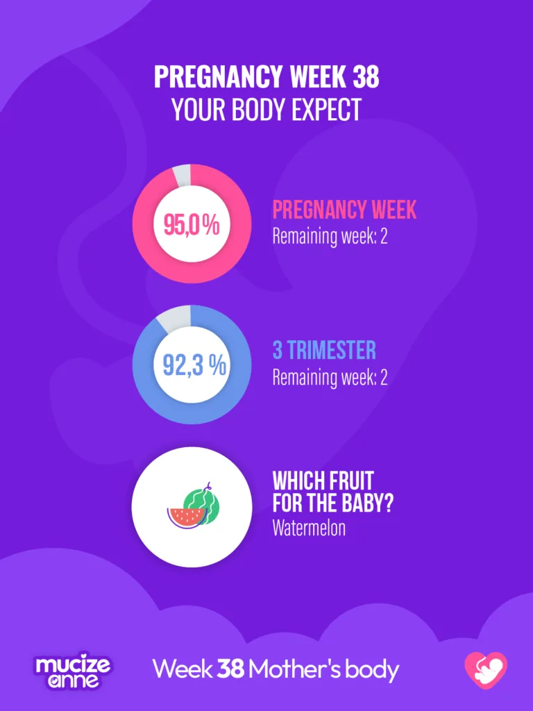 38th week of pregnancy Week