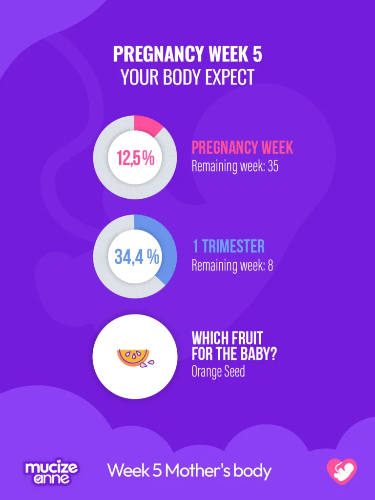 5 Weeks Pregnant: Symptoms, Baby Development & Must-Know Tips