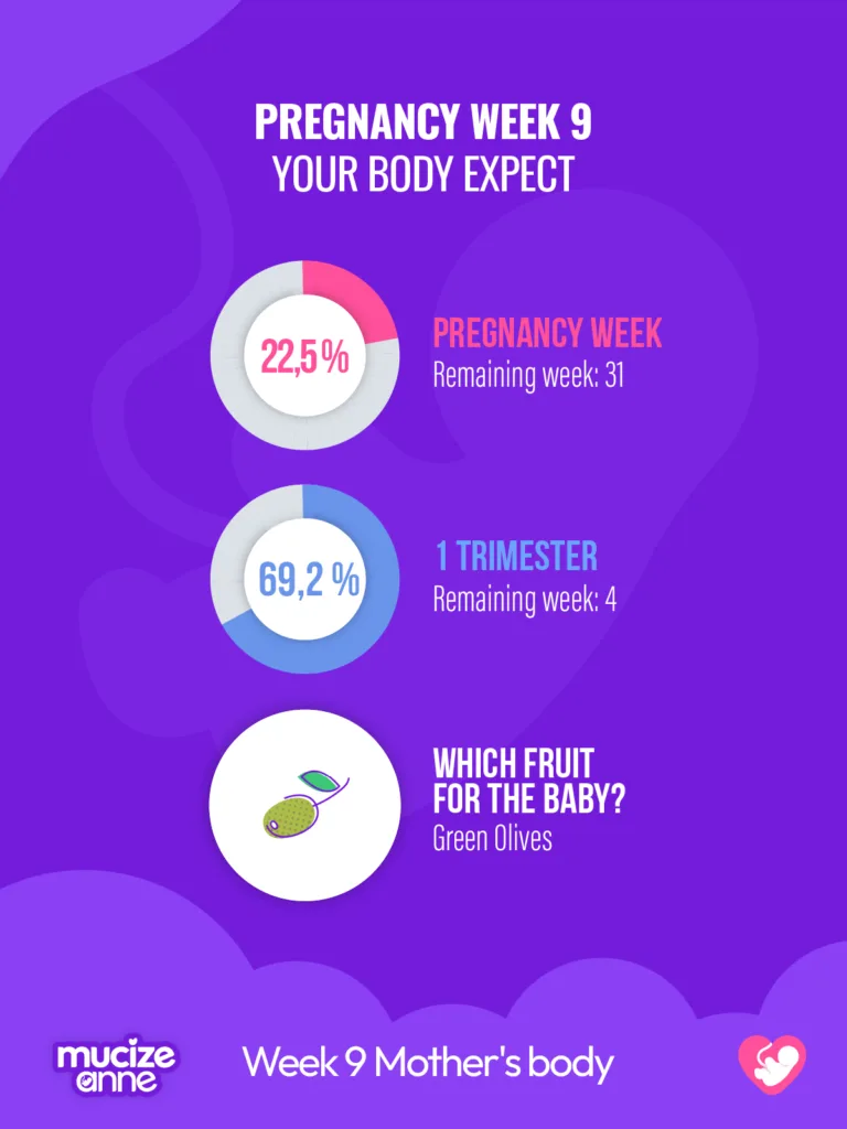 9th week of pregnancy