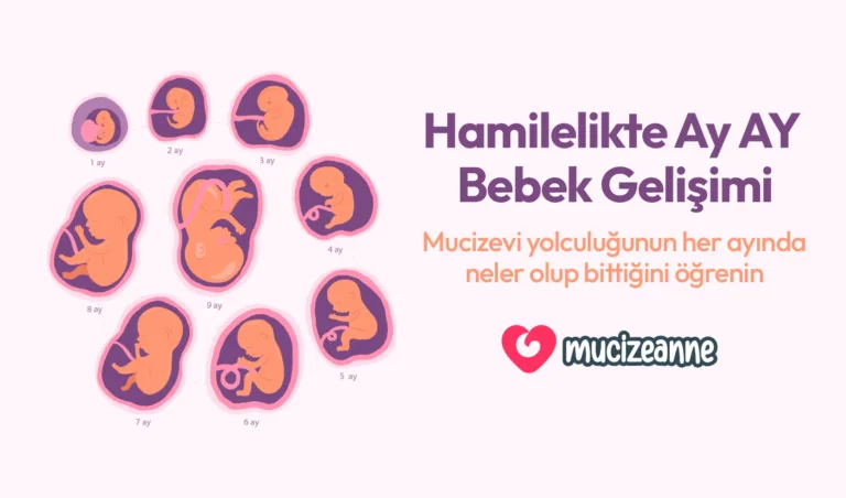 hamilelikte ay ay bebek gelişimi