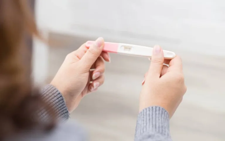 Hamilelik Dönemleri 🤰